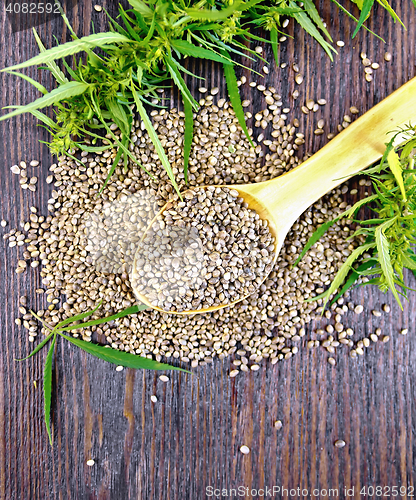 Image of Grain hemp in spoon with leaf on board top