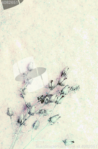 Image of Light Pastel Floral Background