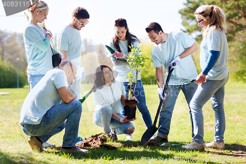 Image of group of volunteers planting tree in park