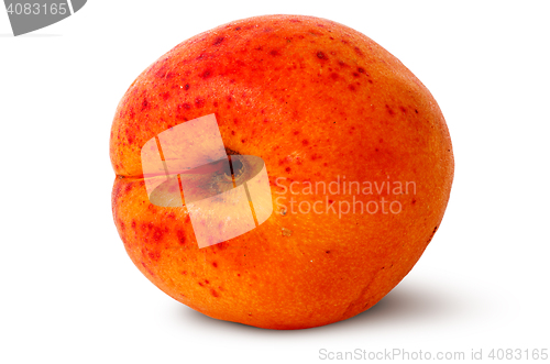 Image of Ripe juicy apricots rotated