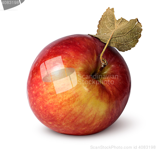 Image of Red ripe apple with leaf top view