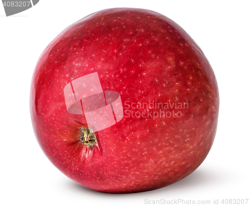 Image of Red ripe apple bottom view