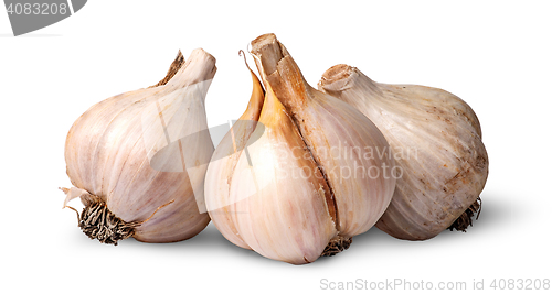 Image of Three bulbs of garlic beside