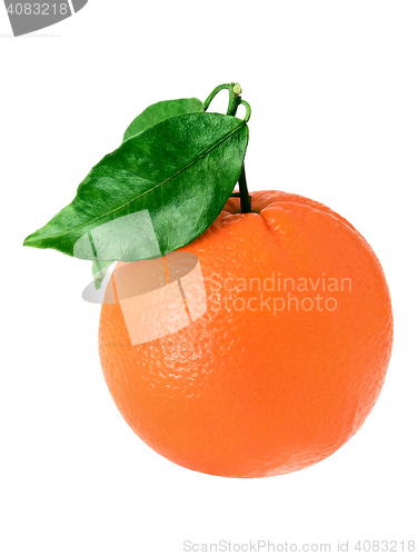 Image of orange with green leaf