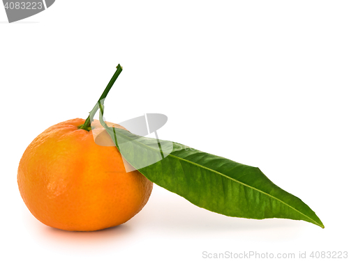 Image of mandarin