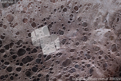 Image of Leather structure