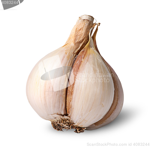 Image of Single garlic bulb