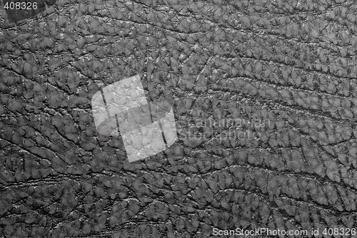 Image of Leather texture