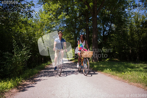 Image of Young multiethnic couple having a bike ride in nature