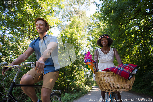 Image of Young multiethnic couple having a bike ride in nature