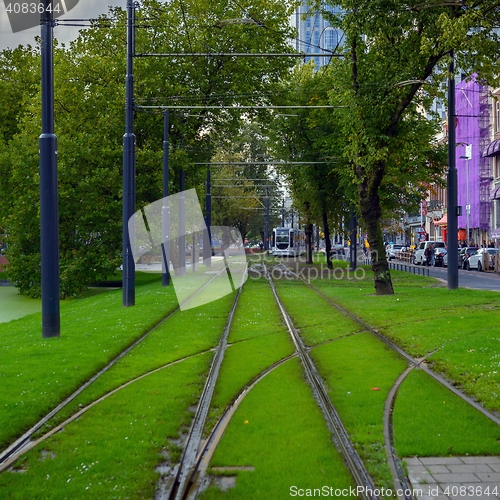 Image of Railroad covered in grass