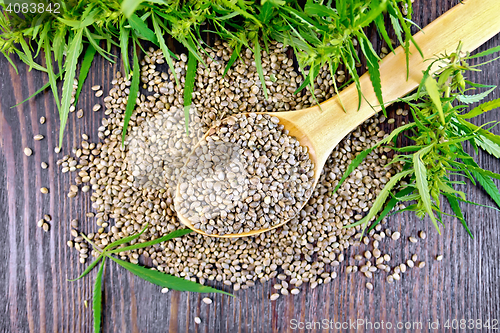 Image of Grain hemp in spoon on dark board top