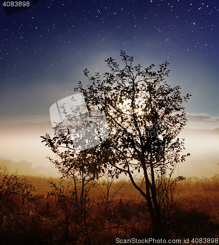 Image of star sky over countryside