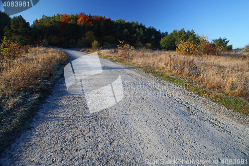 Image of asphalt road in autumn day