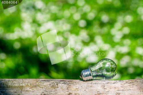 Image of Lightbulb in green nature