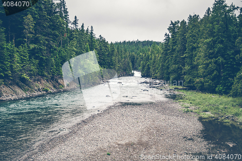 Image of River stream surrounded by pine trees