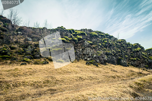 Image of Green moss on black cliffs