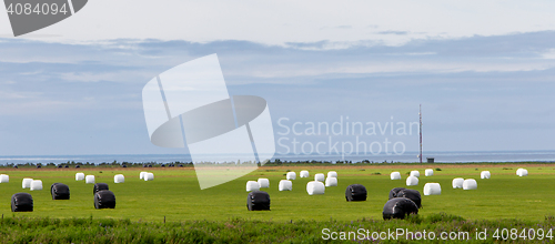 Image of Hay bales sealed with plastic wrap