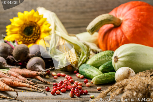 Image of Autumn berries and vegetables