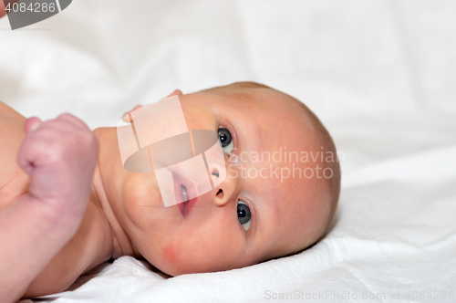 Image of Nursing baby portrait