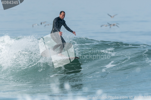 Image of Surfing the waves