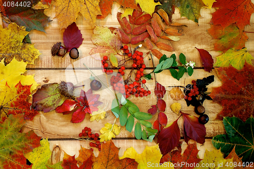 Image of Autumn Leafs and Yield