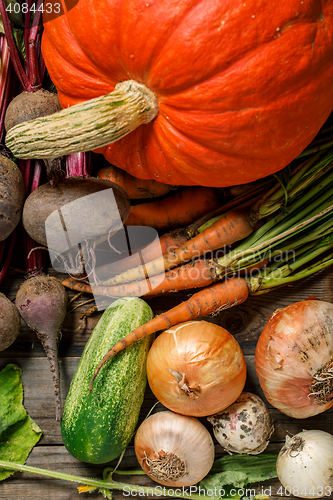 Image of Autumn vegetables harvest