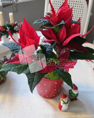 Image of Christmas decoration