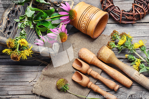 Image of Curative Echinacea and inula