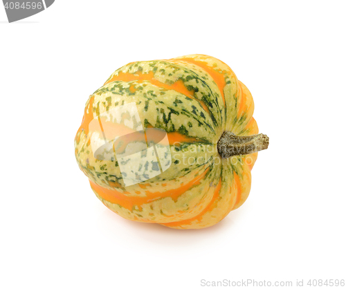Image of Green and yellow striped Festival squash
