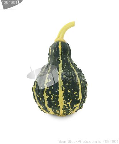 Image of Green, stripey ornamental gourd