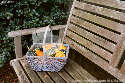 Image of Woven basket full of orange, green and yellow ornamental gourds