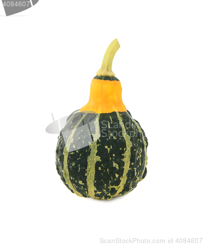 Image of Green ornamental squash with yellow neck, green stripes and bump