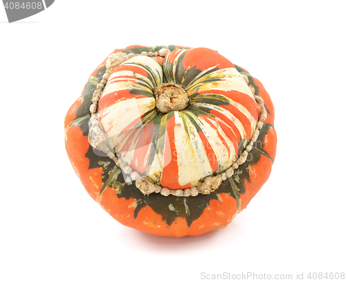 Image of Orange, white and green Turks Turban squash