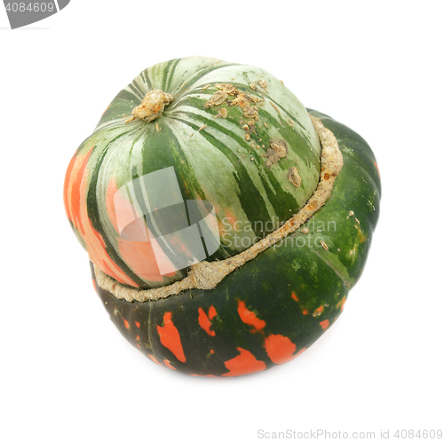 Image of Green and orange turban squash