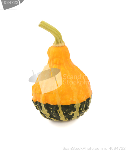 Image of Yellow and green ornamental gourd