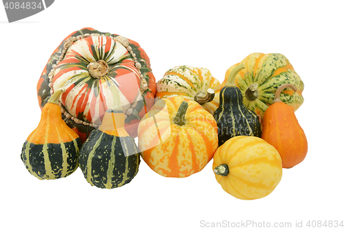 Image of Selection of ornamental gourds with striped Turks turban squash