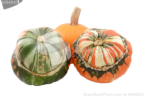 Image of Two Turks turban squash with a small orange pumpkin