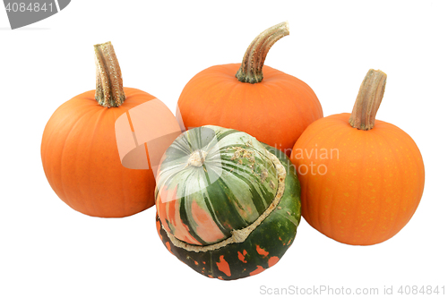 Image of Green and orange Turks turban squash with three pumpkins