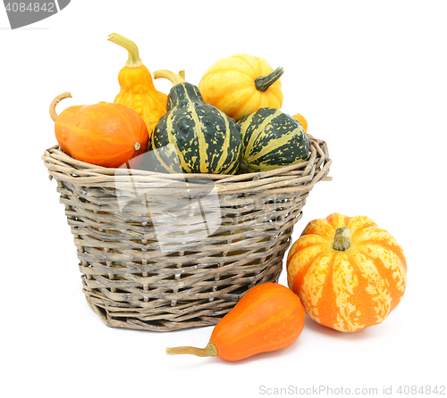 Image of Green, orange and yellow ornamental gourds in a basket