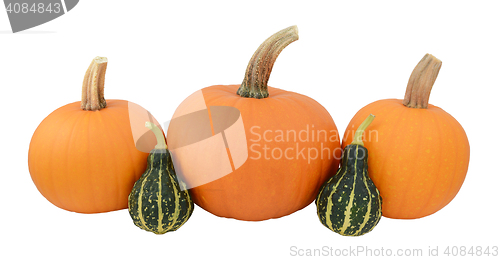 Image of Three orange pumpkins with two green ornamental gourds