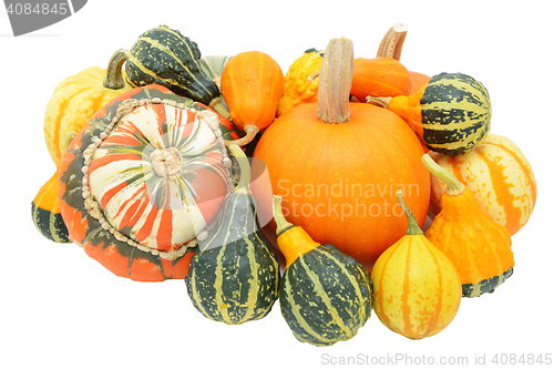 Image of Group of autumnal gourds - pumpkins, turban squash and ornamenta
