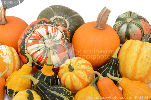 Image of Pile of pumpkins and squashes with ornamental gourds