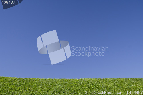 Image of grass and blue sky