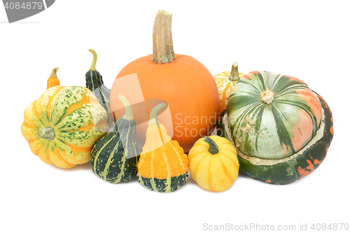 Image of Pumpkin, Festival squash, Turks turban and ornamental gourds