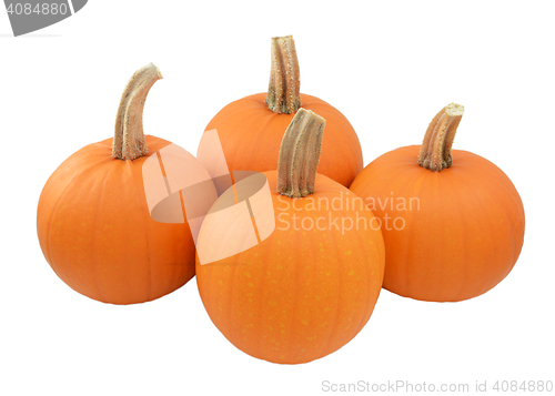 Image of Four ripe orange pumpkins