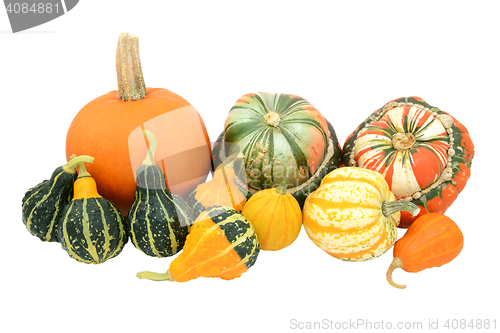 Image of Selection of gourds, pumpkins and squashes