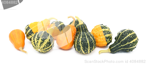 Image of Green, orange and yellow ornamental gourds