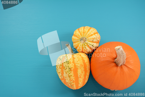 Image of Orange pumpkin and boldly patterned squash on painted background