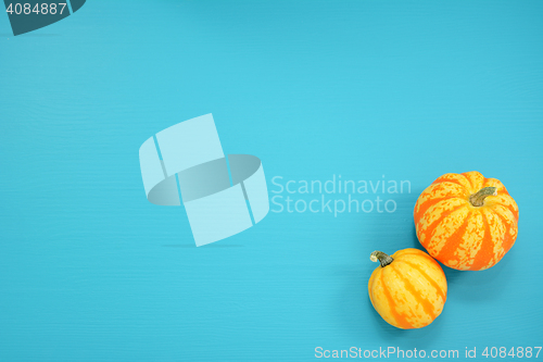 Image of Two striped Festival squash on a teal background